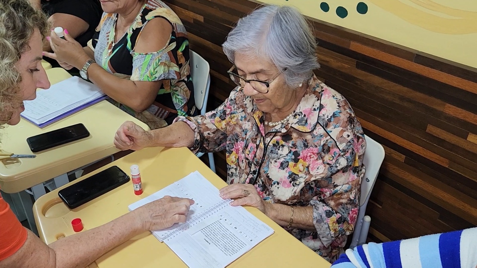 idosas aprendem a ler blumenau (4)