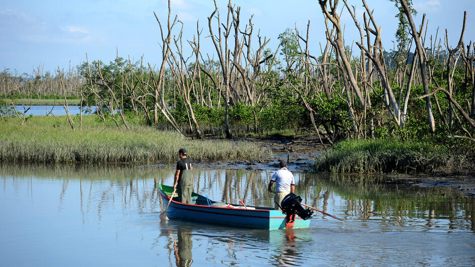 Baía da Babitonga guarda maior área de manguezal do Sul do Brasil (Foto: Salmo Duarte, A Notícia)