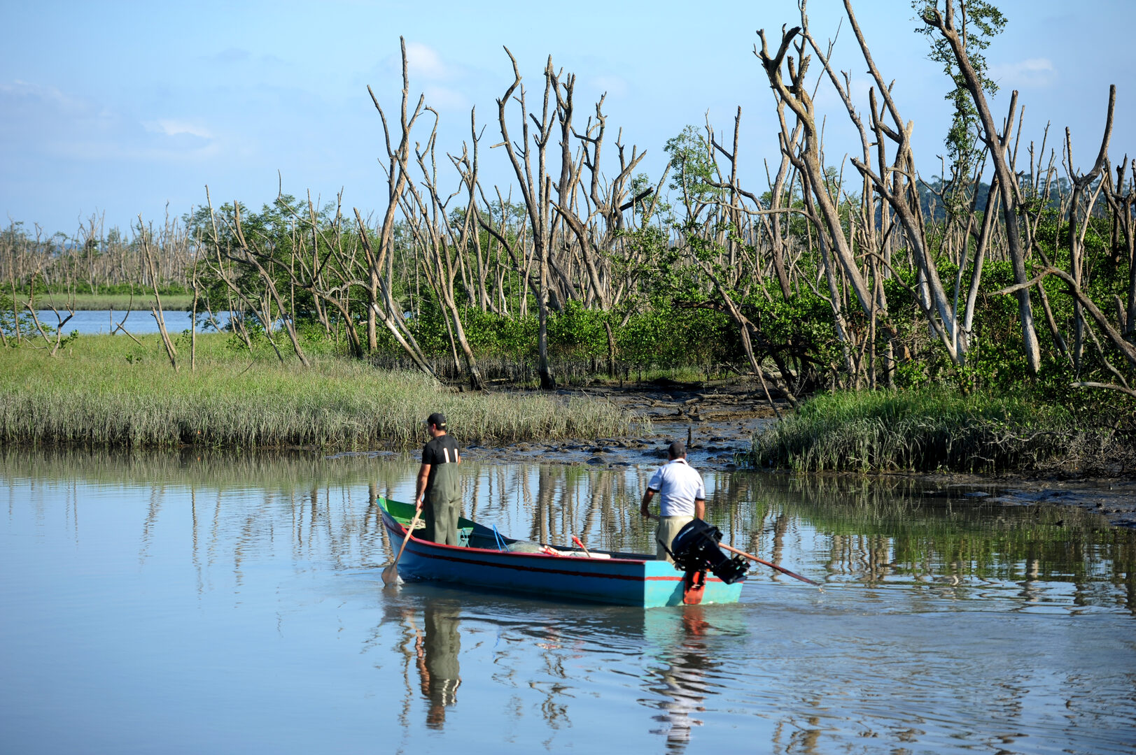 Baía da Babitonga guarda maior área de manguezal do Sul do Brasil (Foto: Salmo Duarte, A Notícia)