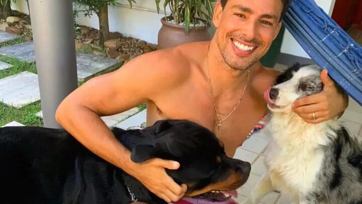 Após morte de cão de Cauã Reymond, Câmara do Rio diz que 40 animais podem ter sido envenenados