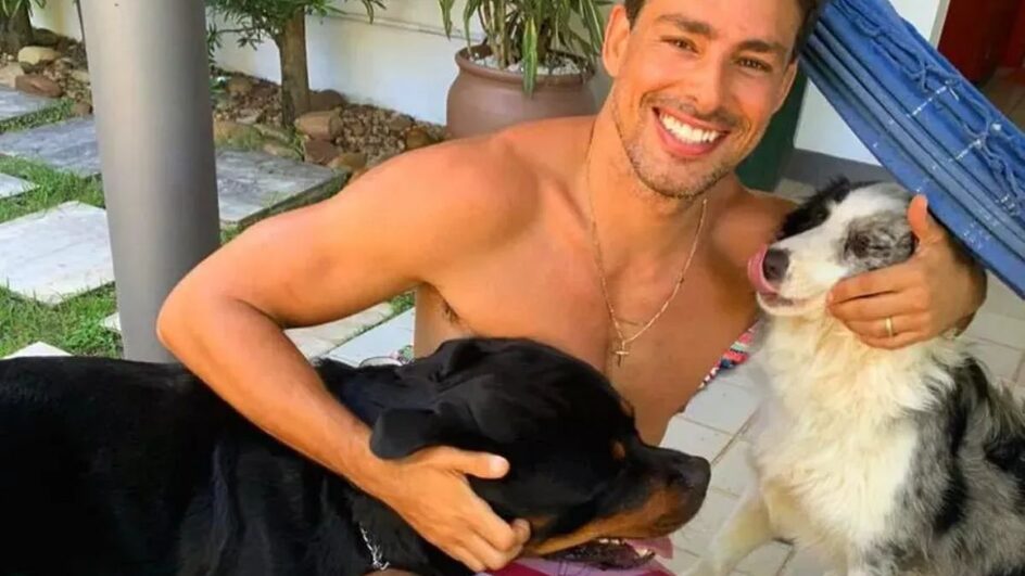 Após morte de cão de Cauã Reymond, Câmara do Rio diz que 40 animais podem ter sido envenenados