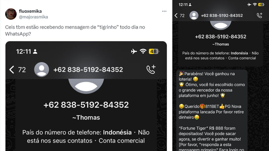 Captura de tela de relato de usuário das redes sociais que foi invadido pelo jogo