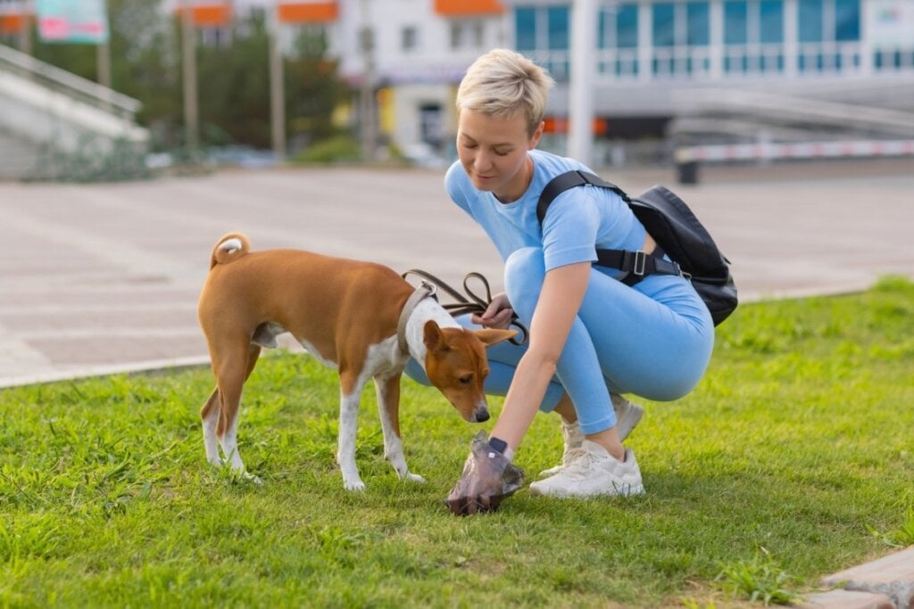 Recolher as fezes do cachorro durante o passeio evita a dissemina&ccedil;&atilde;o de doen&ccedil;as (Imagem: Vershinin89 | Shutterstock)