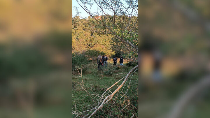 Corpo é encontrado enterrado em área de mata em Florianópolis
