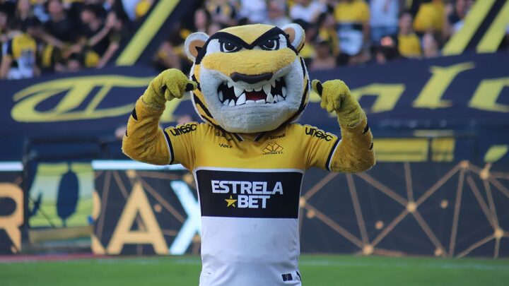 Contra o Botafogo, Criciúma fez a primeira vitória em casa no Brasileirão (Foto: Celso da Luz, Criciúma EC)