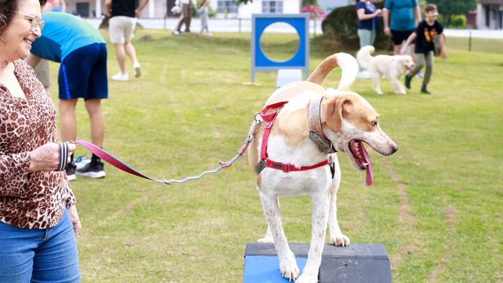 Parcão inaugurado em Joinville