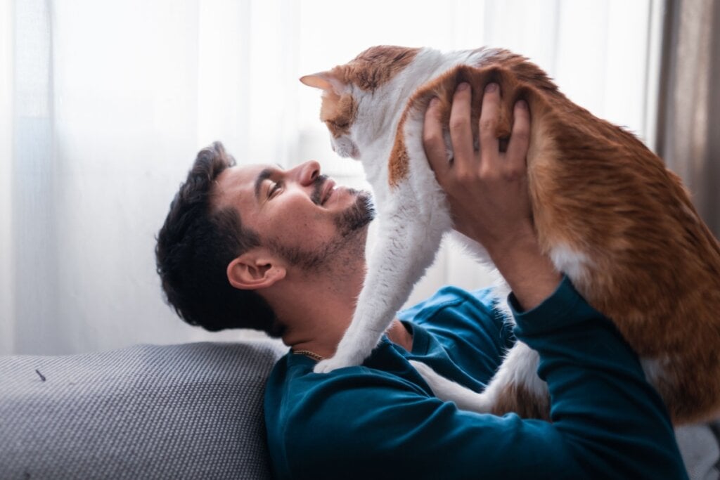 Preferências pessoais em relação às características de personalidade do animal de estimação devem ser levadas em consideração (Imagem: Magui RF | Shutterstock)