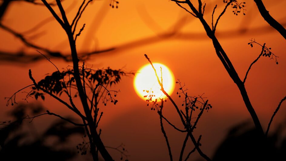 Manhãs ensolaradas em SC (2)