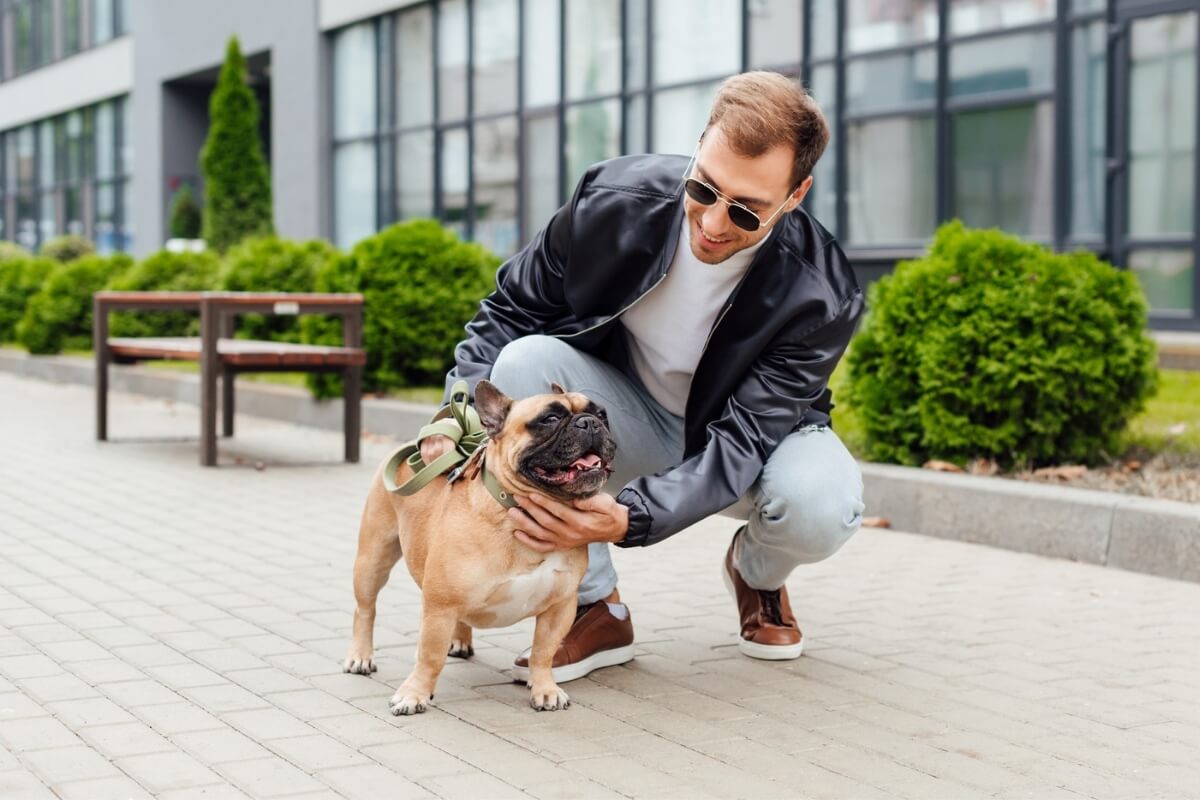 Passear com os cachorros é essencial para manter a saúde física e mental dos animais (Imagem: LightField Studios | Shutterstock)