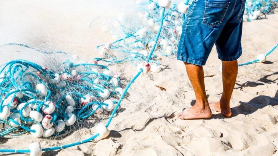 Pesca de emalhe anilhado está proibida a partir da noite desta terça-feira
