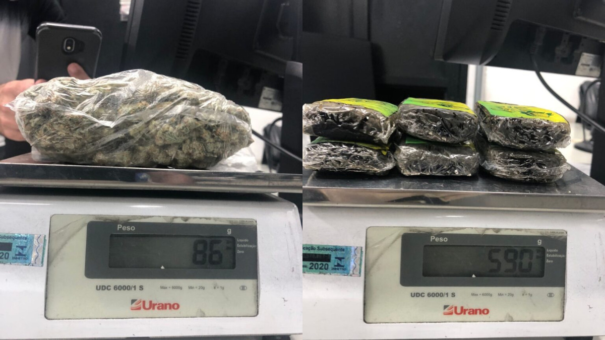 Supermaconha enviada pelo Correio é apreendida em operação na Grande Florianópolis