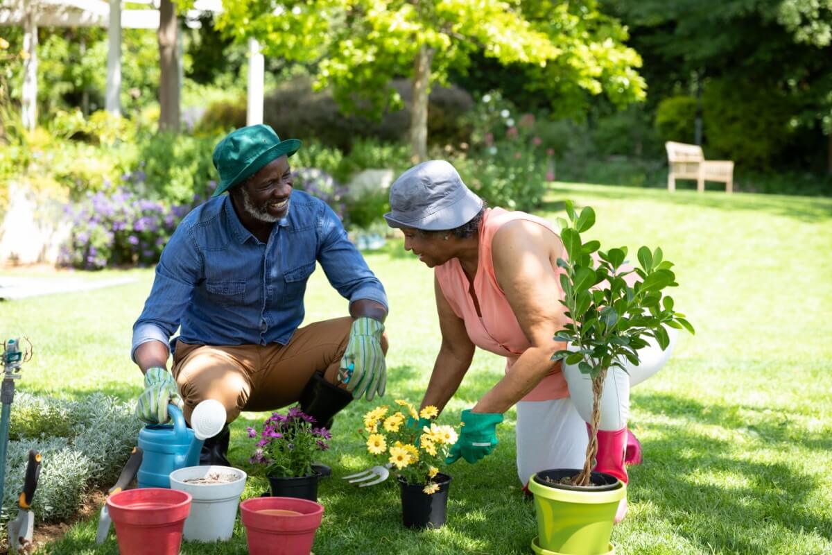 As plantas necessitam de cuidados especiais no inverno (Imagem: wavebreakmedia | Shutterstock)