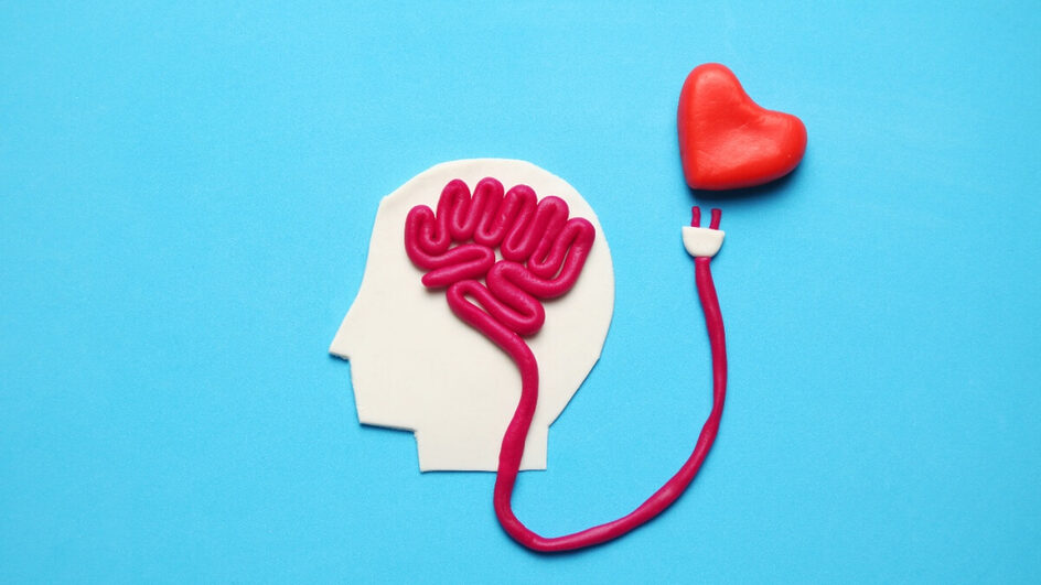 A saúde emocional está muito relacionada ao funcionamento do coração (Imagem: Andrii Zastrozhnov | Shutterstock)