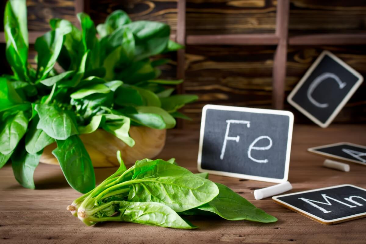 O espinafre é um vegetal rico em nutrientes importantes (Imagem: vkuslandia | Shutterstock)