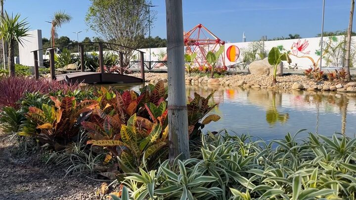 Jardim neurossensorial