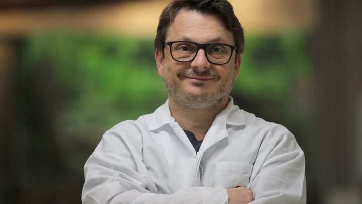 Felipe Dal Pizzol