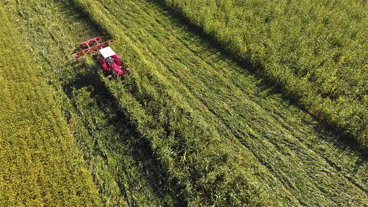 Tecnologia aliada à produção rural: cada real investido na Epagri gerou R$ 9,62 para SC