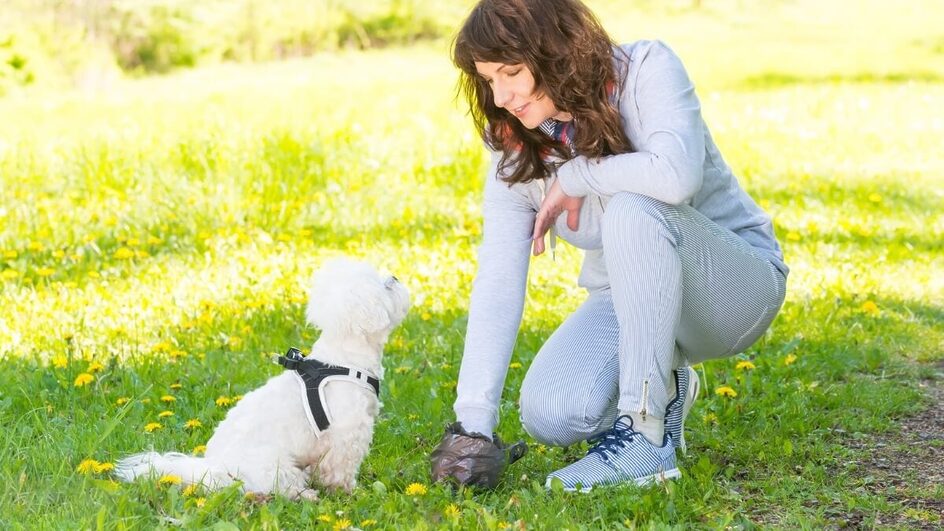 Evitar o contato com as fezes e urina de pets é fundamental para evitar doenças causadas por parasitas (Imagem: Monika Wisniewska | Shutterstock)