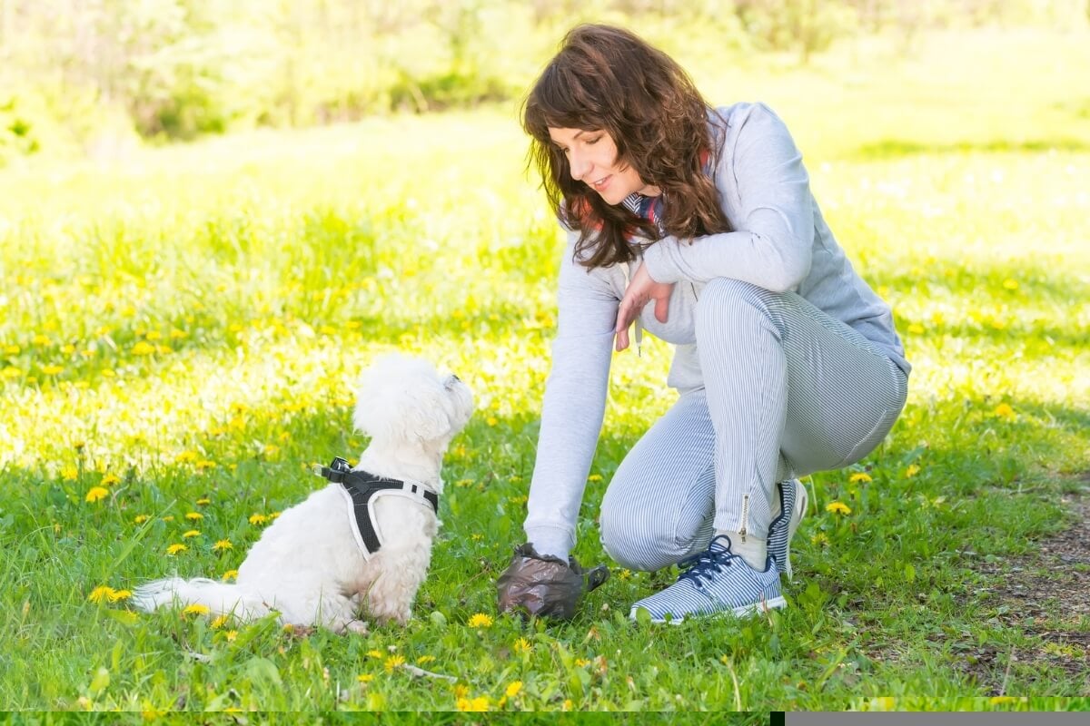 Evitar o contato com as fezes e urina de pets é fundamental para evitar doenças causadas por parasitas (Imagem: Monika Wisniewska | Shutterstock)