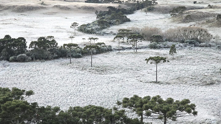 Mais um amanhecer congelante na Serra Catarinense (1)