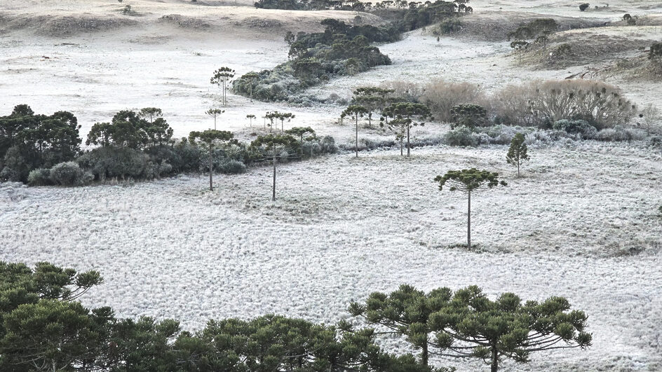 Mais um amanhecer congelante na Serra Catarinense (1)