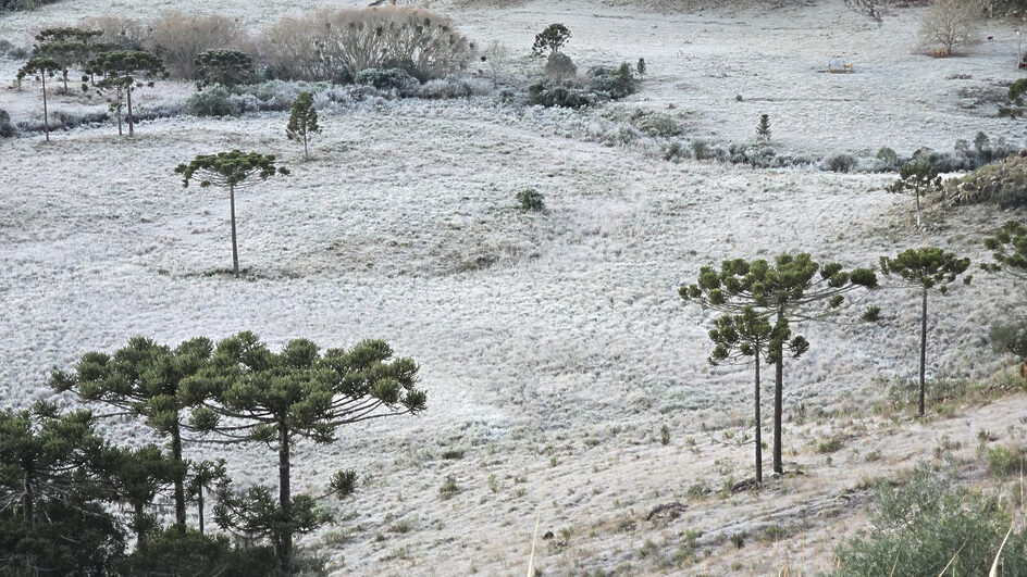 Mais um amanhecer congelante na Serra Catarinense (4)