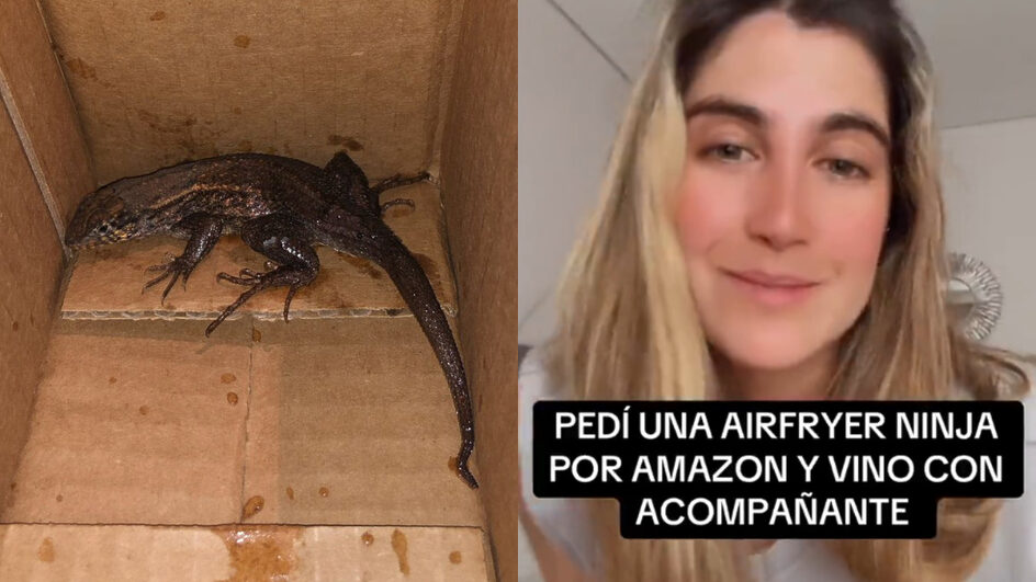 Mulher recebe animal dentro de caixa de airfryer