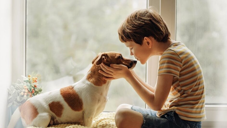 Tratamento assistido com animais tem se mostrado uma abordagem eficaz para o desenvolvimento das crianças com autismo (Imagem: Yuliya Evstratenko | Shutterstock)