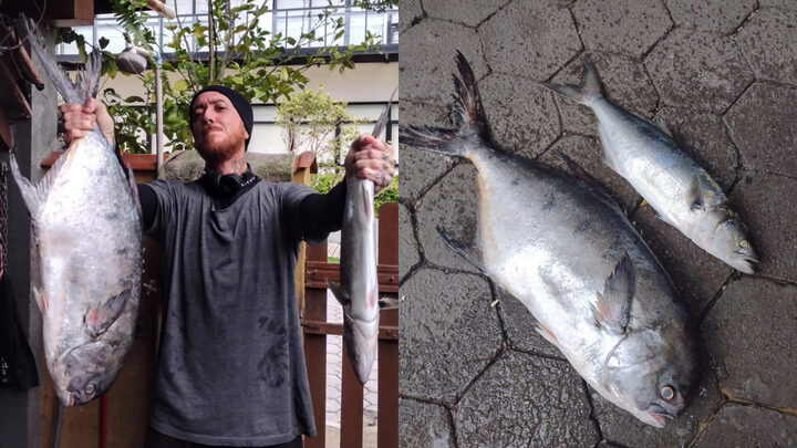 Presente de Iemanjá homem acha rede perdida com cerca de 20 kg de peixe em praia de Florianópolis