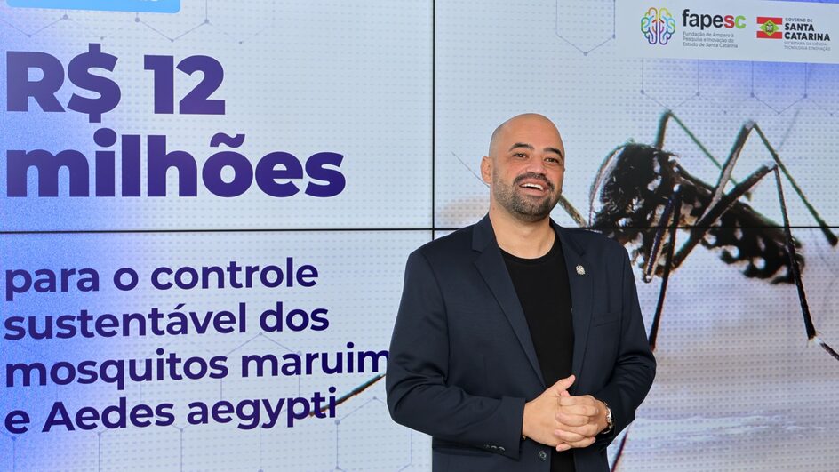 Ações de combate ao mosquito da dengue