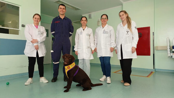 Transforma o dia Conheça Magi, cão de busca que faz visitas a pacientes em hospital de SC (3)