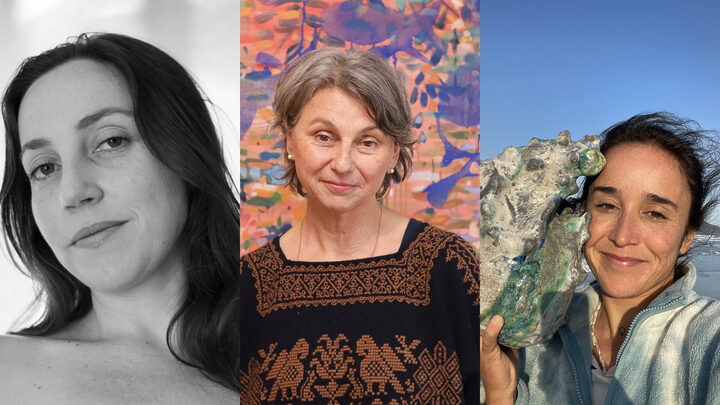 Três mulheres de SC são finalistas do Prêmio AF de Arte Contemporânea 2024