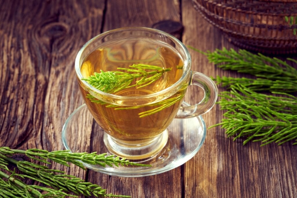 O excesso do chá de cavalinha pode causar deficiência de vitamina B1 (Imagem: Madeleine Steinbach | Shutterstock)