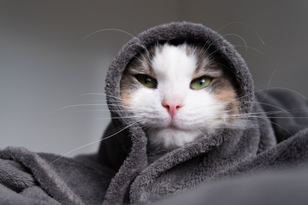 O frio pode intensificar as dores provocadas por algumas doenças (Imagem: Kashaeva Irina | Shutterstock)