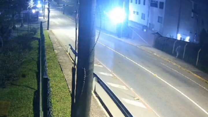 VÍDEO: Câmeras registram momento que idoso desaparecido entra em floresta de Joinville