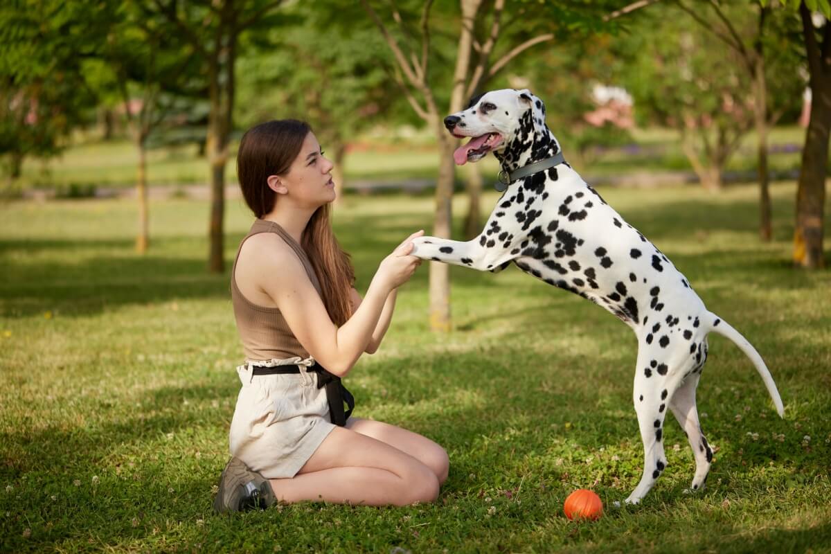 Fazer atividades com os pets nas férias cria memórias especiais e aumenta o vínculo com eles (Imagem: sergey kolesnikov | Shutterstock)
