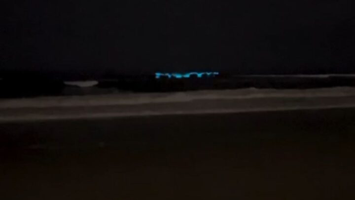 VÍDEO: Algas criam "ondas brilhantes" e chamam atenção de moradores de São Francisco do Sul
