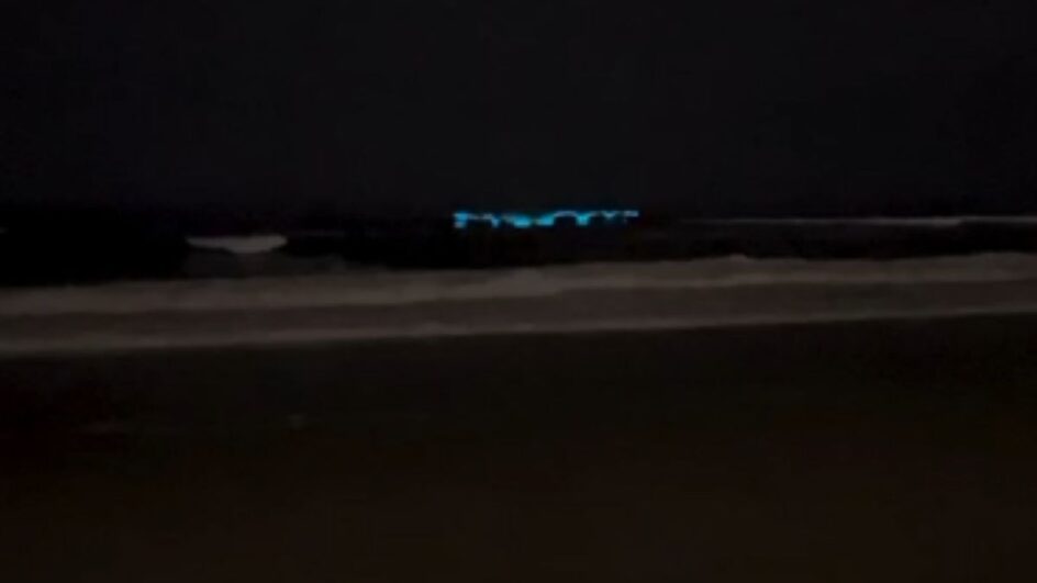 VÍDEO: Algas criam "ondas brilhantes" e chamam atenção de moradores de São Francisco do Sul