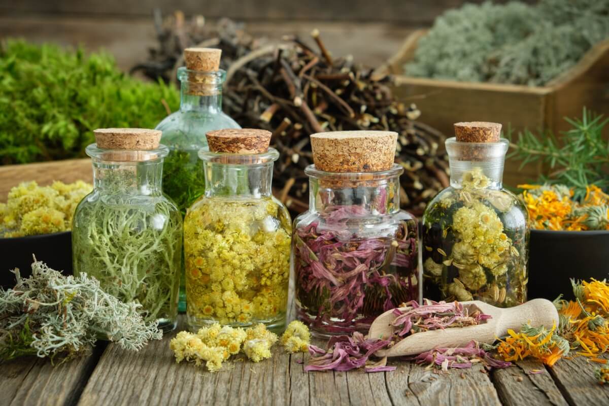Tratamentos naturais podem auxiliar em diversos problemas de saúde (Imagem: LN team | Shutterstock)