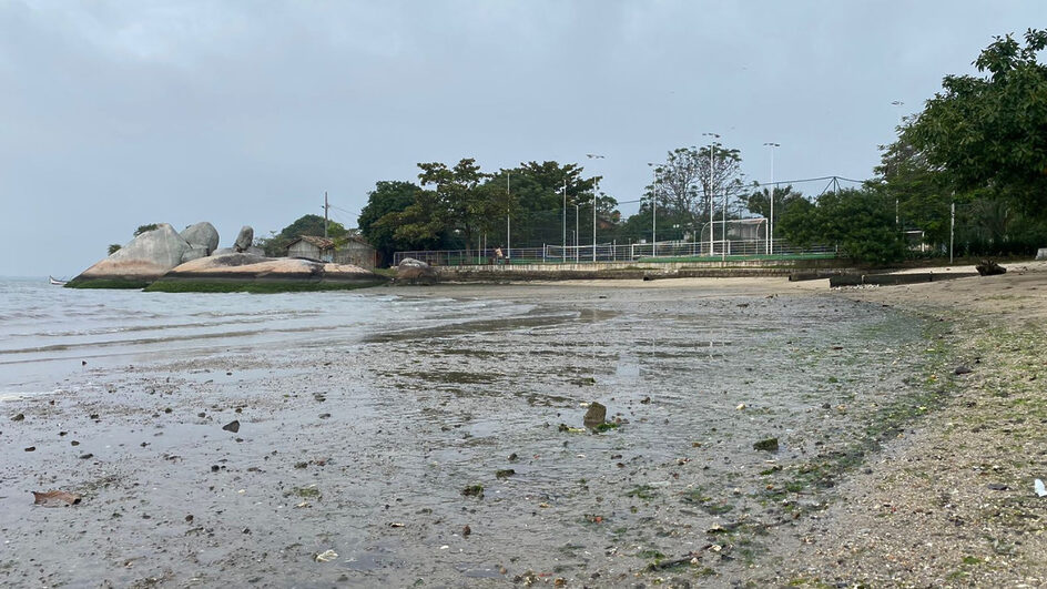 Coqueiros, em Florianópolis, é um dos bairros turísticos de Florianópolis onde as praias são impróprias (Foto: Zé Maia, CBN Floripa)
