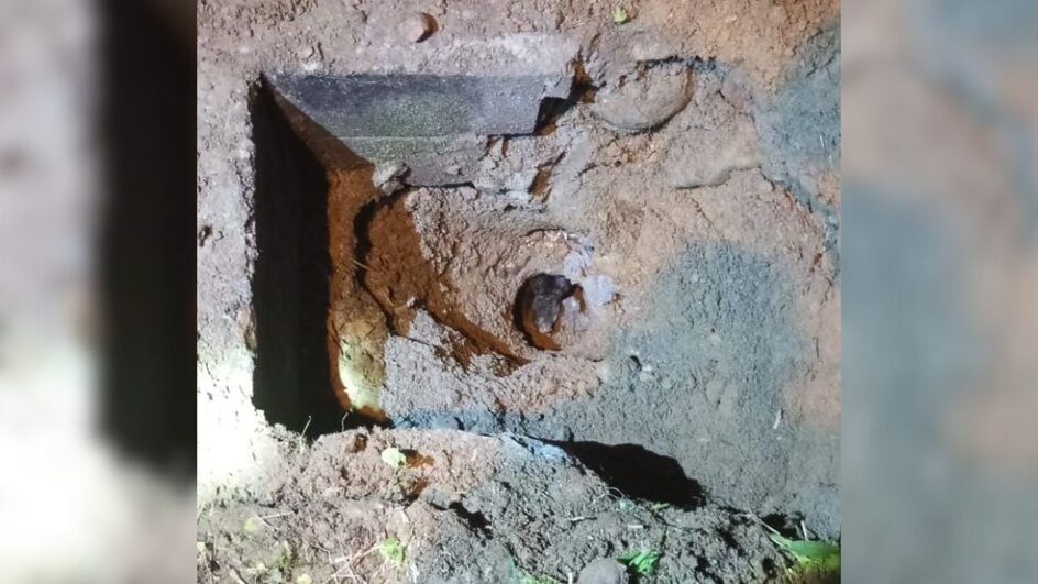 Labrador foi resgatado pelos bombeiros voluntários em bueiro.