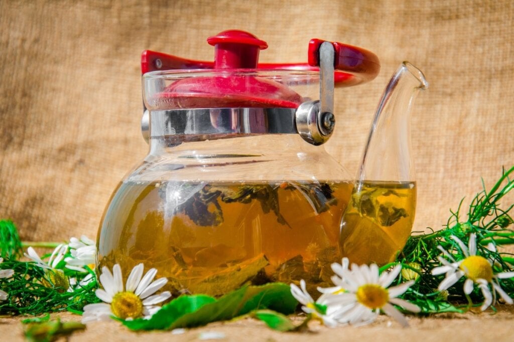 Chá de cavalinha com camomila (Imagem: Kirill Savenko | Shutterstock)