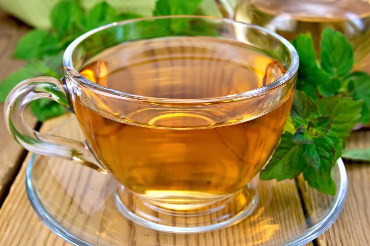 Chá de erva-cidreira com hortelã (Imagem: kostrez | Shutterstock)