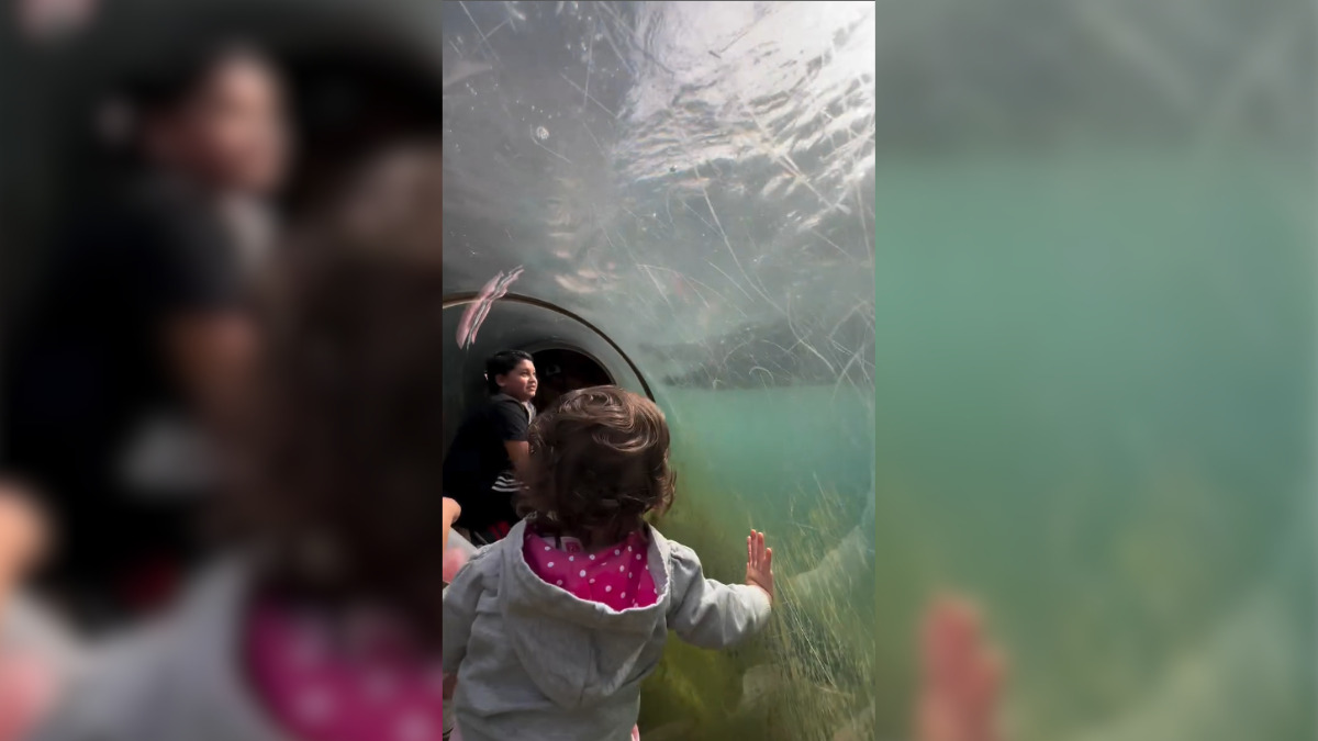 Crianças no tubo do zoológico (Foto Divulgação, Redes Sociais)