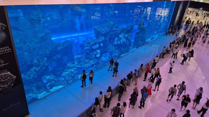 Aquário gigante será montado com estrutura de empresa catarinense.