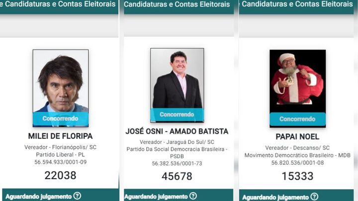 Candidatos de SC adotam nomes de urna curiosos nas Eleições 2024 (Foto: Reprodução, TSE)
