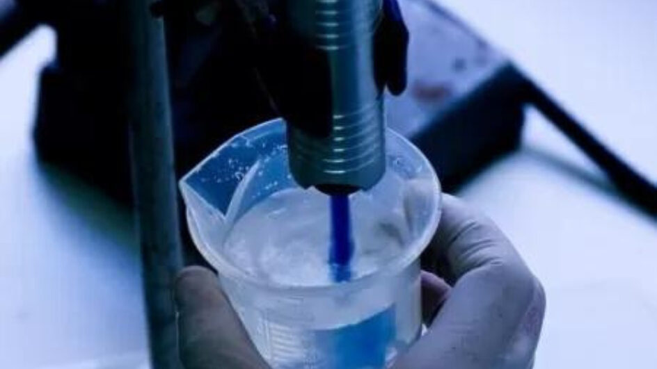 Nova linhagem do vírus Oropouche pode estar ligado ao surto da doença no Brasil