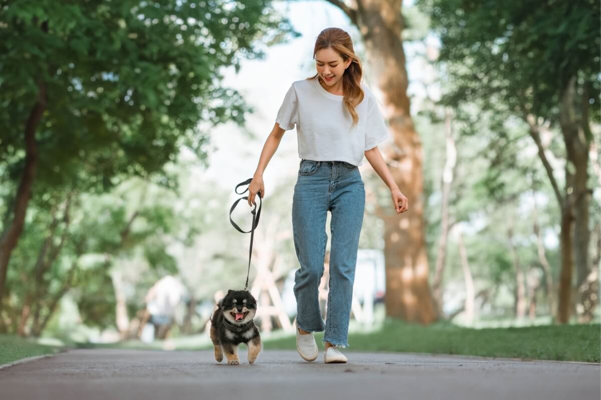 Passear com os cachorros é primordial para manter a sua saúde (Imagem: oatawa | Shutterstock)