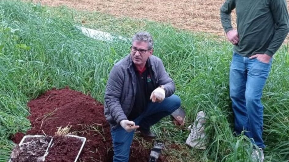 Agricultura sustentável e praticada na propriedade da fampilia Staub.