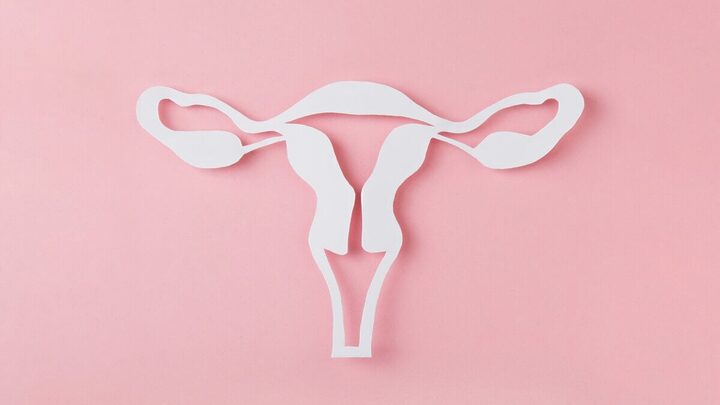Vaginismo afeta a vida sexual das mulheres (Imagem: JasminkaM | Shutterstock)